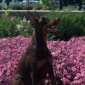 Meet your Posher, Lee ann